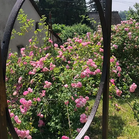 La Fournio Chaussenac