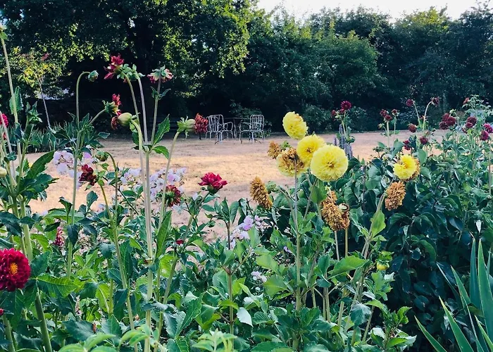 La Fournio Chaussenac