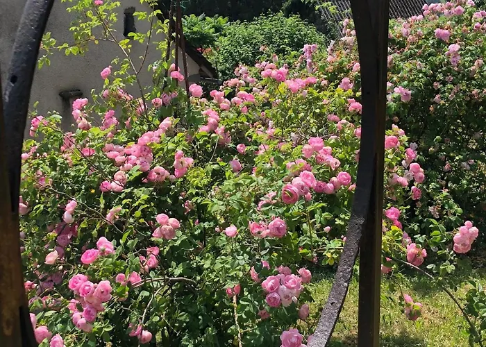 La Fournio Chaussenac